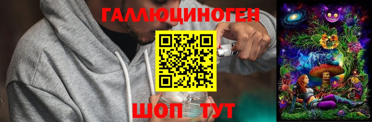 Псилоцибиновые грибы мицелий Лесосибирск